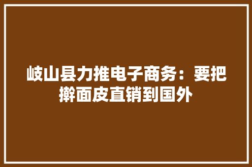 岐山县力推电子商务：要把擀面皮直销到国外