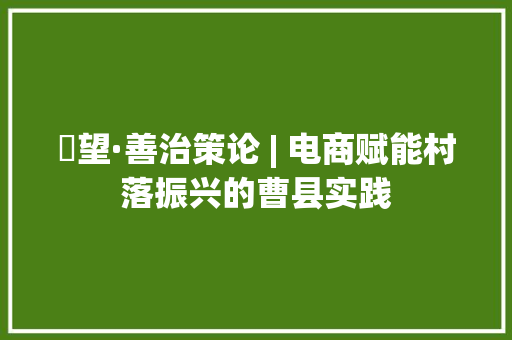 瞭望·善治策论 | 电商赋能村落振兴的曹县实践