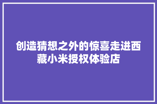 创造猜想之外的惊喜走进西藏小米授权体验店,小米新品发布会。
