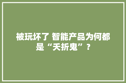 被玩坏了 智能产品为何都是“夭折鬼”？,智能ai写作。