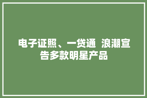 电子证照、一贷通  浪潮宣告多款明星产品