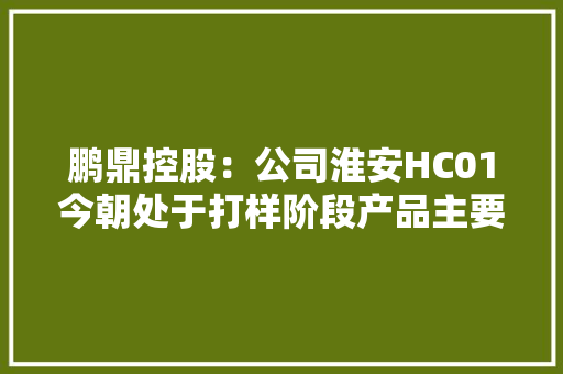 鹏鼎控股：公司淮安HC01今朝处于打样阶段产品主要应用于消费电子领域