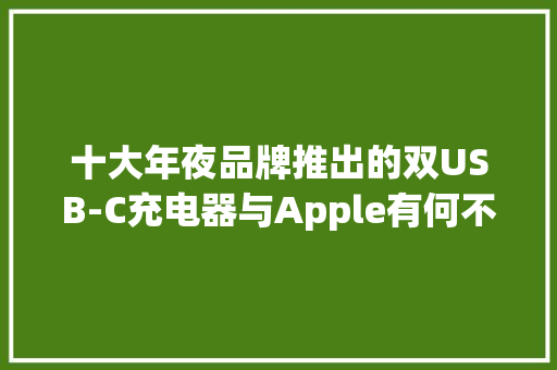 十大年夜品牌推出的双USB-C充电器与Apple有何不合,充电器可以带上飞机吗。