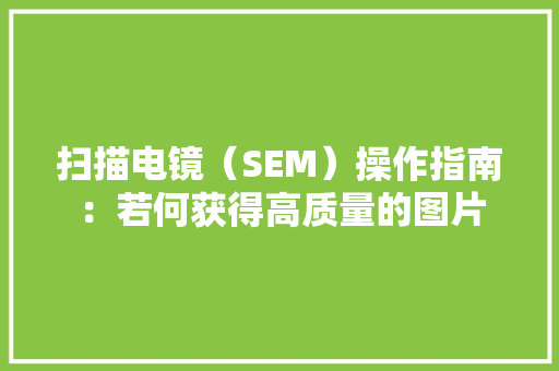 扫描电镜（SEM）操作指南：若何获得高质量的图片
