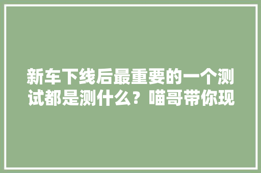 新车下线后最重要的一个测试都是测什么？喵哥带你现场感想沾染
