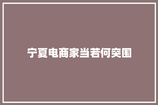 宁夏电商家当若何突围