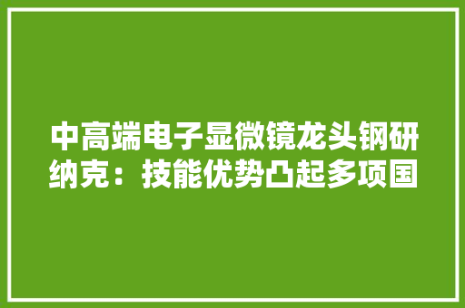 中高端电子显微镜龙头钢研纳克：技能优势凸起多项国内第一,剖析的拼音。