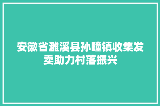 安徽省濉溪县孙疃镇收集发卖助力村落振兴