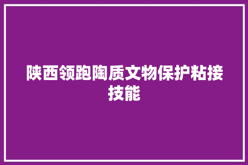 陕西领跑陶质文物保护粘接技能