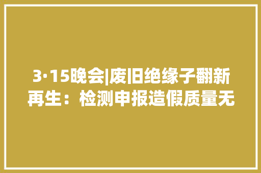 3·15晚会|废旧绝缘子翻新再生：检测申报造假质量无法担保