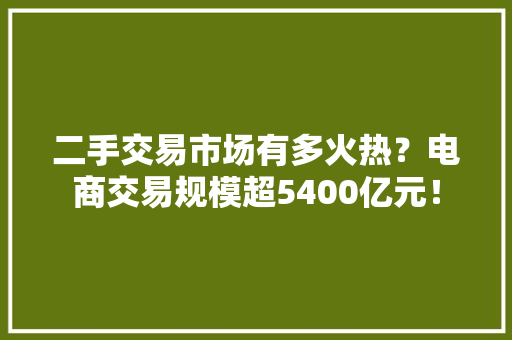 二手交易市场有多火热？电商交易规模超5400亿元！