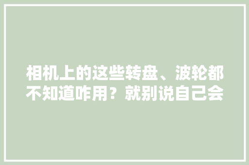 相机上的这些转盘、波轮都不知道咋用？就别说自己会摄影
