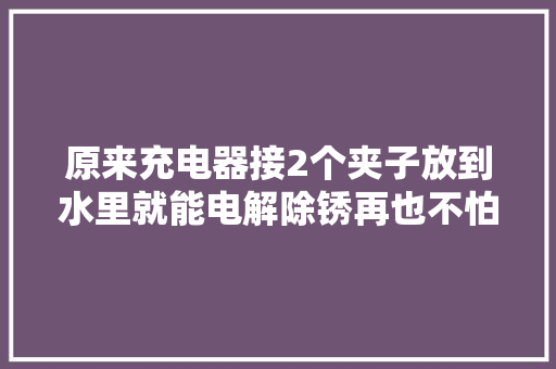 原来充电器接2个夹子放到水里就能电解除锈再也不怕对象生锈