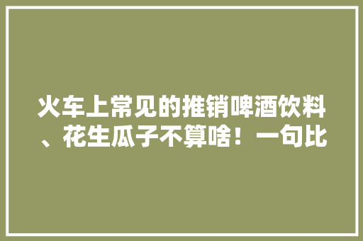 火车上常见的推销啤酒饮料、花生瓜子不算啥！一句比一句溜！