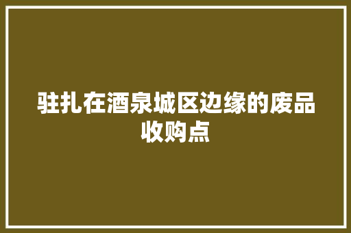 驻扎在酒泉城区边缘的废品收购点