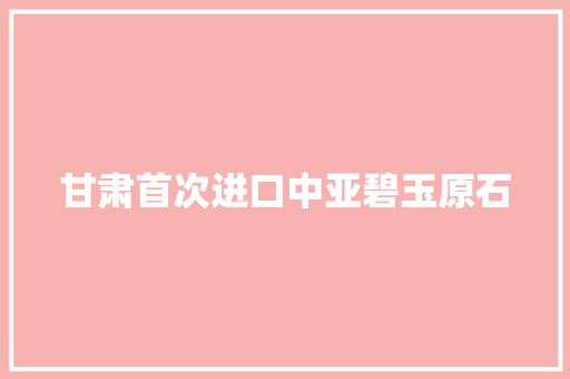 甘肃首次进口中亚碧玉原石