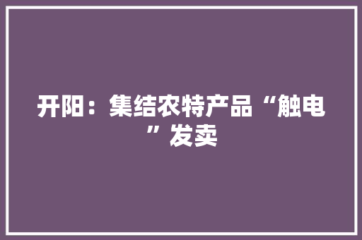 开阳：集结农特产品“触电”发卖