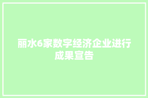 丽水6家数字经济企业进行成果宣告