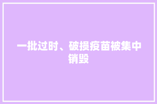 一批过时、破损疫苗被集中销毁,疫苗接种记录查询。