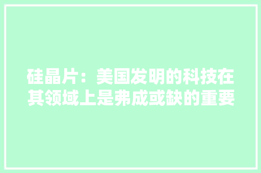 硅晶片：美国发明的科技在其领域上是弗成或缺的重要部分