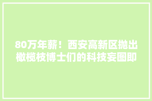 80万年薪！西安高新区抛出橄榄枝博士们的科技妄图即将起飞