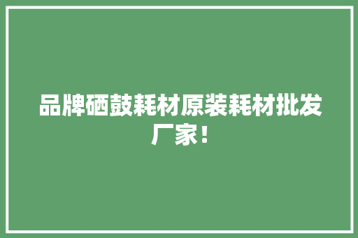 品牌硒鼓耗材原装耗材批发厂家！