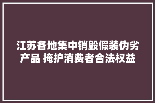 江苏各地集中销毁假装伪劣产品 掩护消费者合法权益