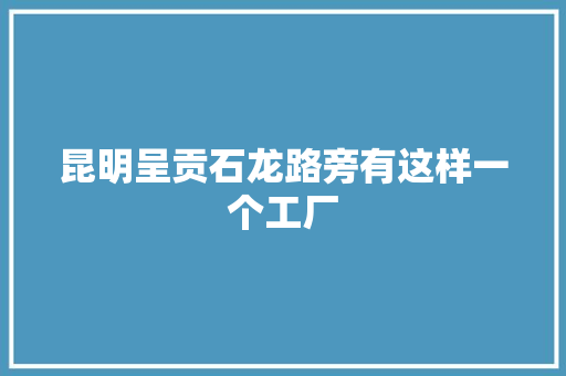 昆明呈贡石龙路旁有这样一个工厂