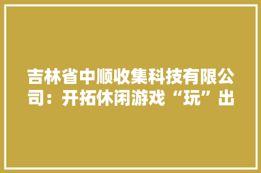 吉林省中顺收集科技有限公司：开拓休闲游戏“玩”出新寰宇