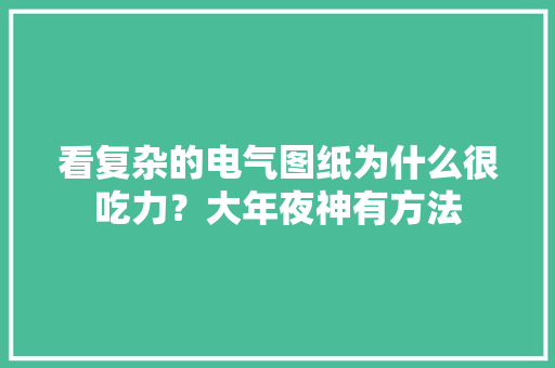 看复杂的电气图纸为什么很吃力？大年夜神有方法