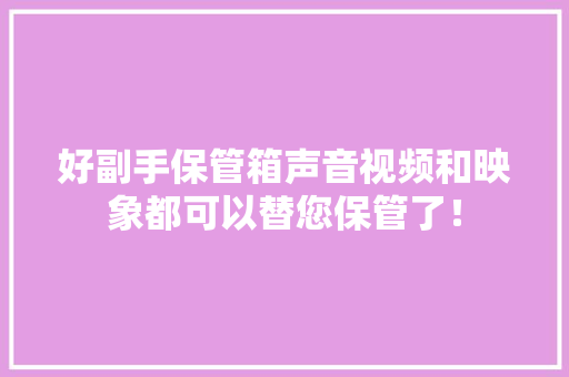 好副手保管箱声音视频和映象都可以替您保管了！