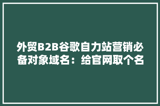 外贸B2B谷歌自力站营销必备对象域名：给官网取个名字吧