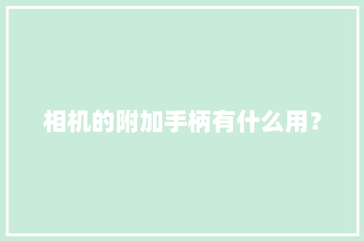 相机的附加手柄有什么用？