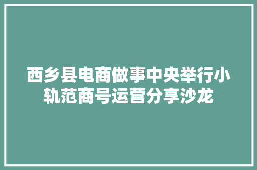 西乡县电商做事中央举行小轨范商号运营分享沙龙