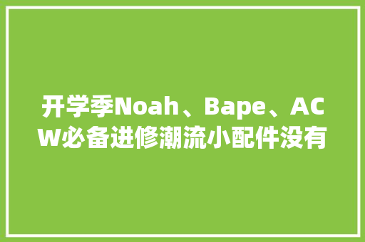 开学季Noah、Bape、ACW必备进修潮流小配件没有怎么行？