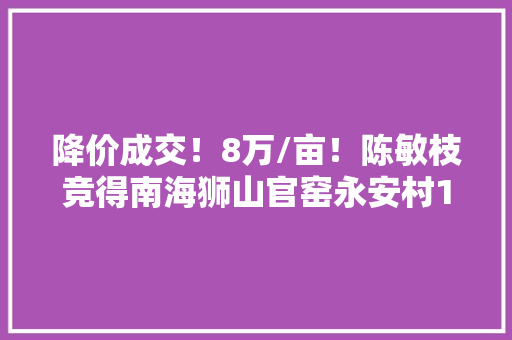 降价成交！8万/亩！陈敏枝竞得南海狮山官窑永安村15亩集体工业地