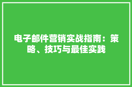 电子邮件营销实战指南：策略、技巧与最佳实践