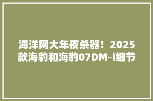 海洋网大年夜杀器！2025款海豹和海豹07DM-i细节曝光！将8月8日上市