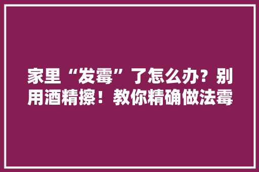 家里“发霉”了怎么办？别用酒精擦！教你精确做法霉斑自动消失