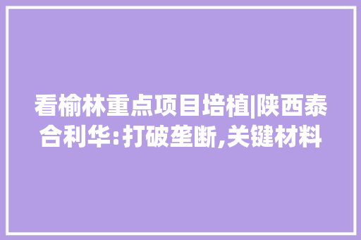 看榆林重点项目培植|陕西泰合利华:打破垄断,关键材料自立可控！