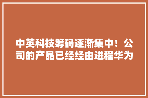中英科技筹码逐渐集中！公司的产品已经经由进程华为的认证,热板焊接机。