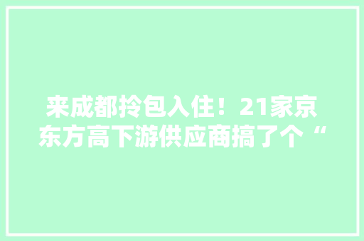 来成都拎包入住！21家京东方高下游供应商搞了个“云沙龙”