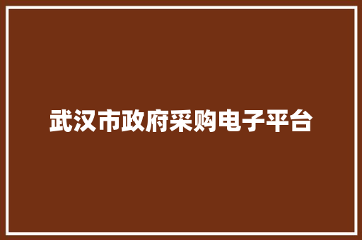 武汉市政府采购电子平台