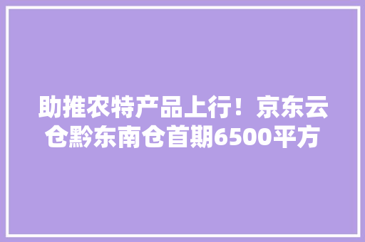 助推农特产品上行！京东云仓黔东南仓首期6500平方米云仓启用