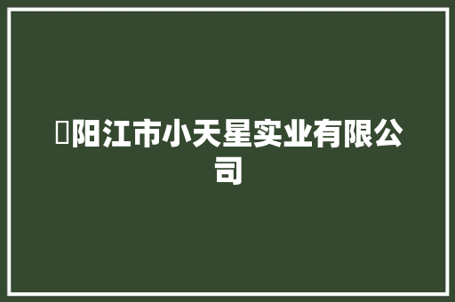 ​阳江市小天星实业有限公司
