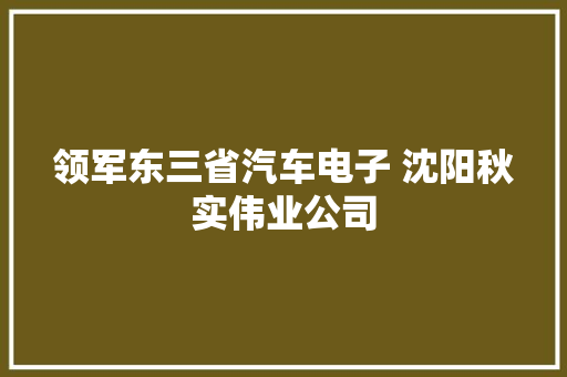 领军东三省汽车电子 沈阳秋实伟业公司