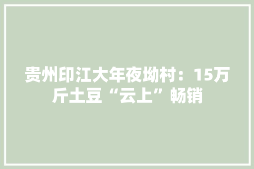 贵州印江大年夜坳村：15万斤土豆“云上”畅销