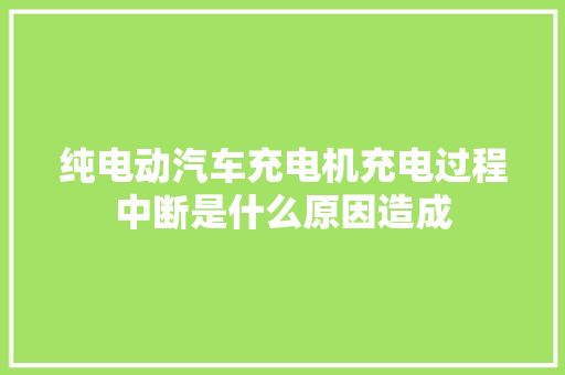 纯电动汽车充电机充电过程中断是什么原因造成