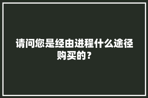 请问您是经由进程什么途径购买的？