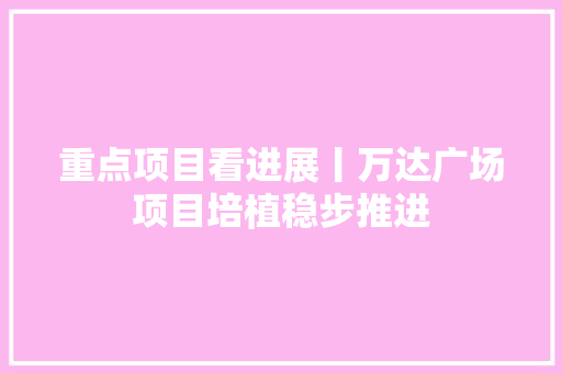 重点项目看进展丨万达广场项目培植稳步推进